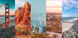 In which state is pickleball popular? - Pakle Pickleball Company