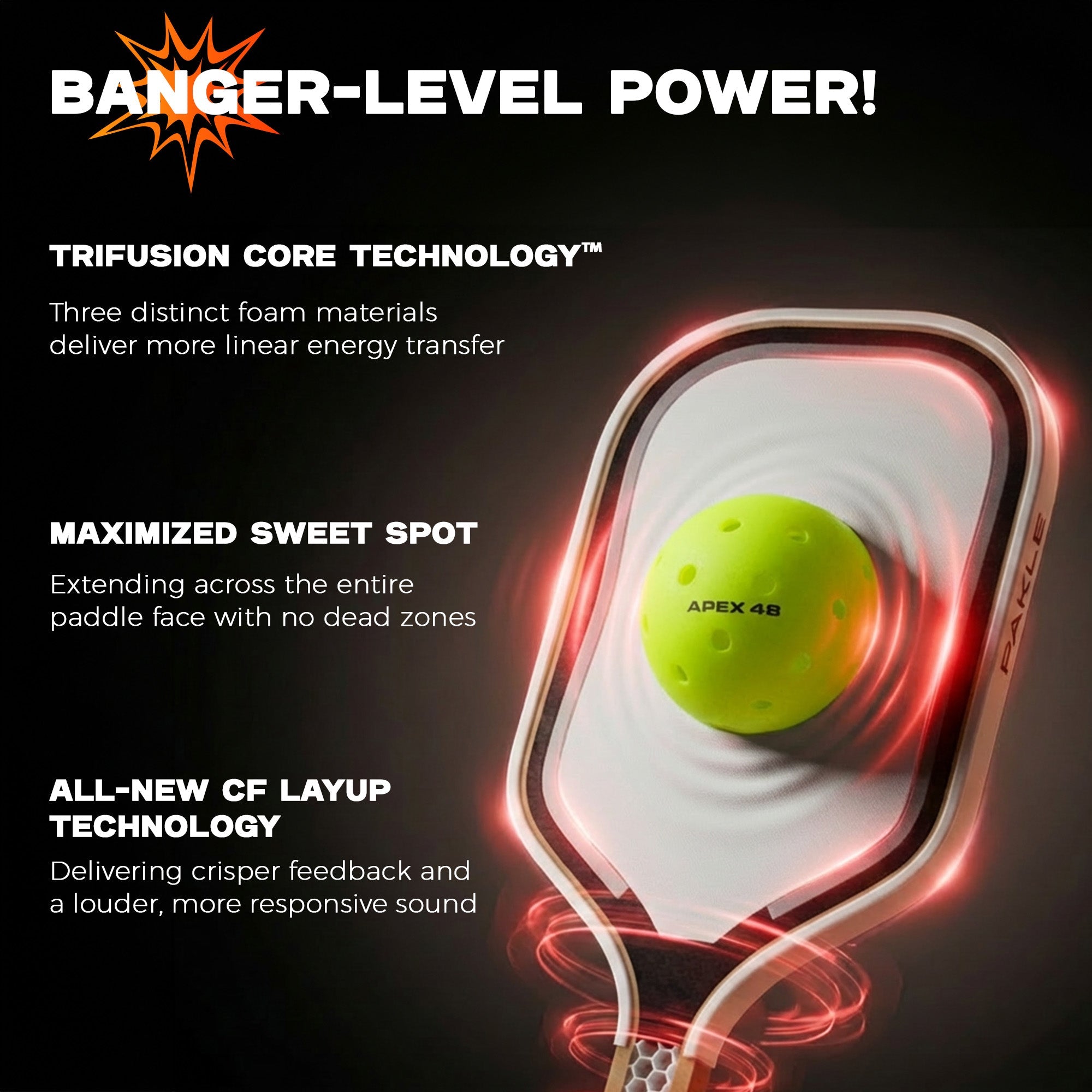 ラッキー　　富士フォト　　フレーミングイーゼル Unleash your inner cheetah with the new Danimal pickleball paddle
