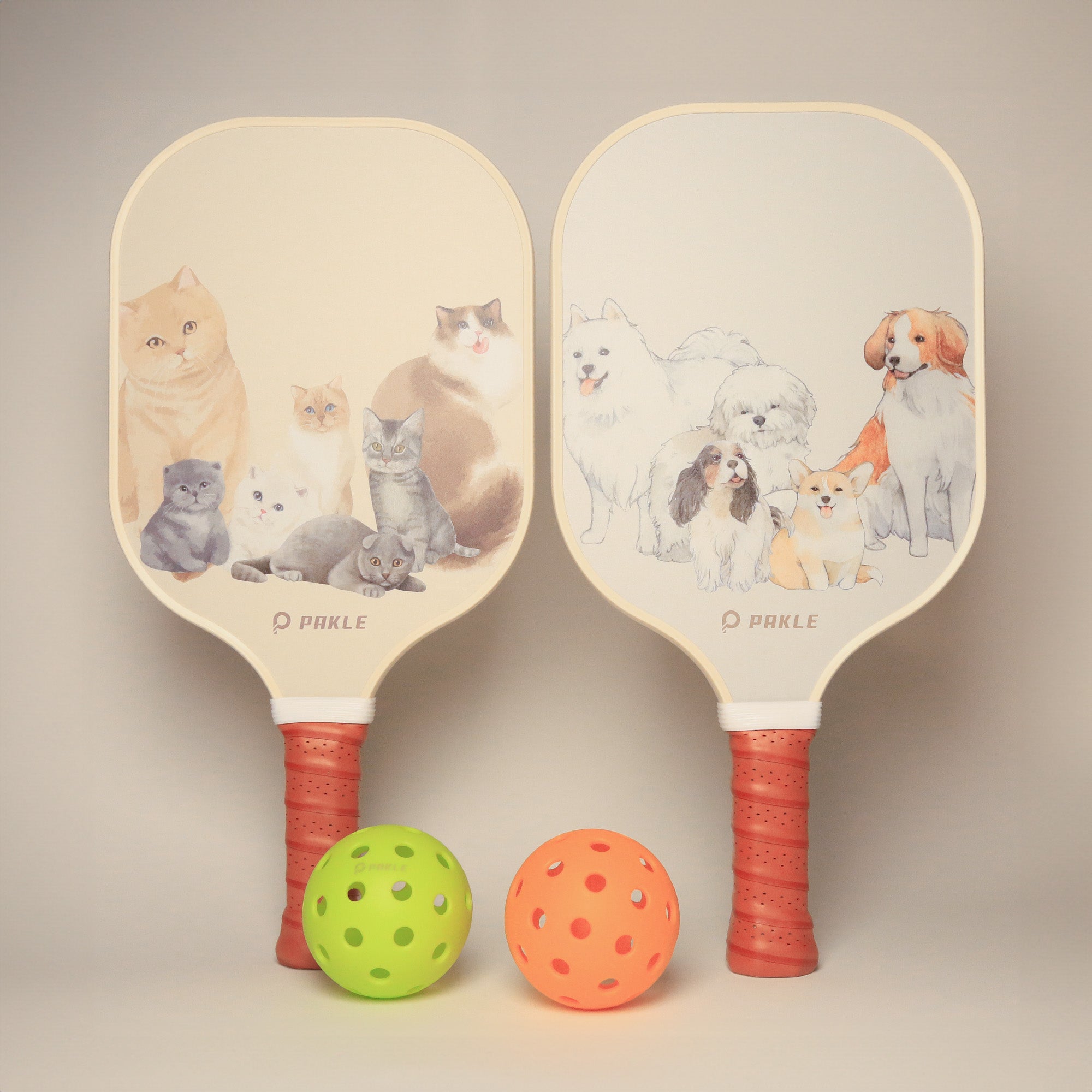 Pakle Pickleball Set